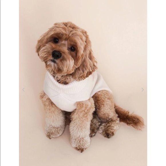 Naked Cashmere Heart Dog Sweater | Poshmark